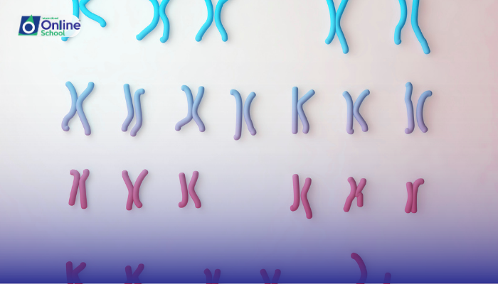 Lesson 29: Description of XX-XO and ZZ-ZW Sex Determination Systems and Karyotype Evaluation
